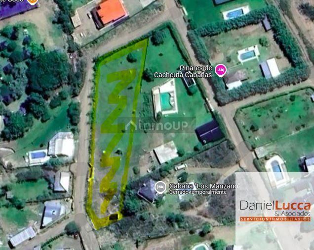 Terreno en Venta en Lujan de Cuyo, Mendoza