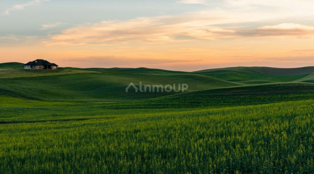 Campo en Venta en Cañuelas, Buenos Aires Interior