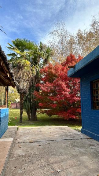 Quinta en Venta en Lujan de Cuyo, Mendoza