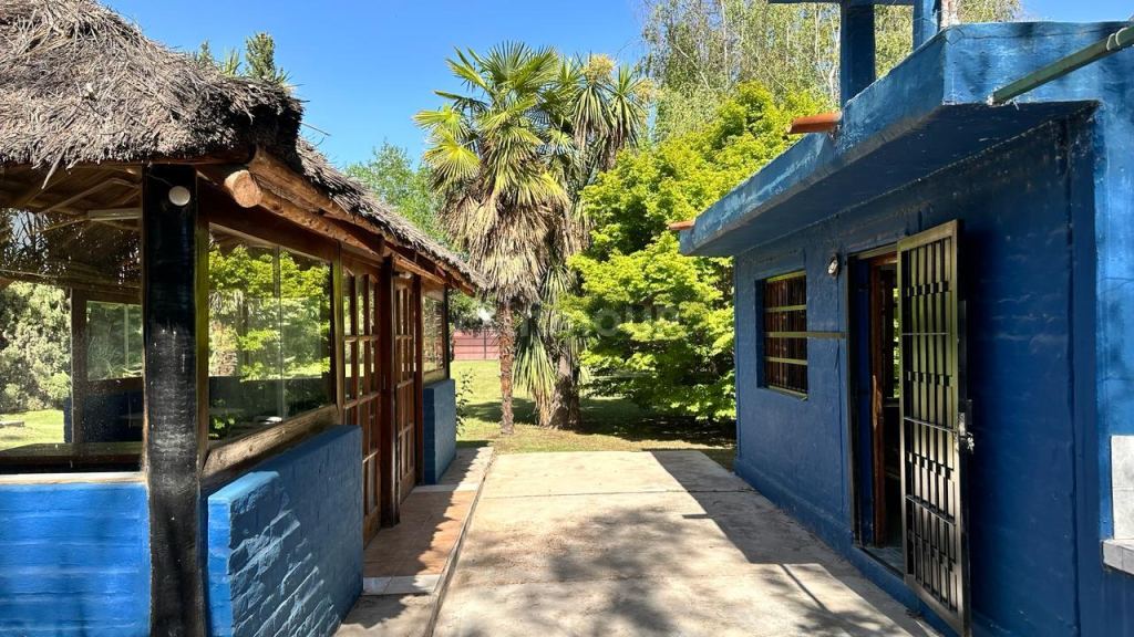 Quinta en Venta en Lujan de Cuyo, Mendoza