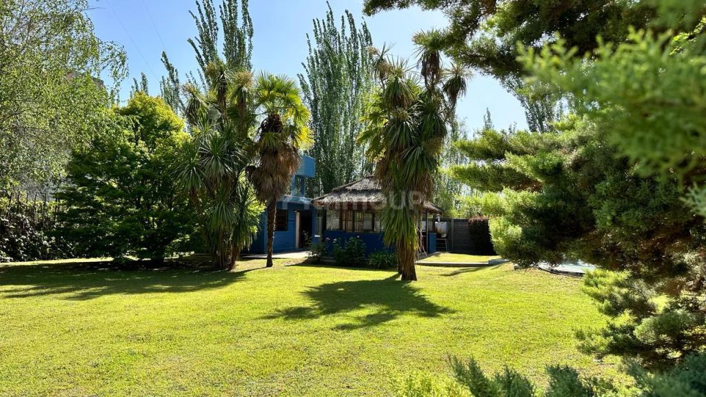 Quinta en Venta en Lujan de Cuyo, Mendoza