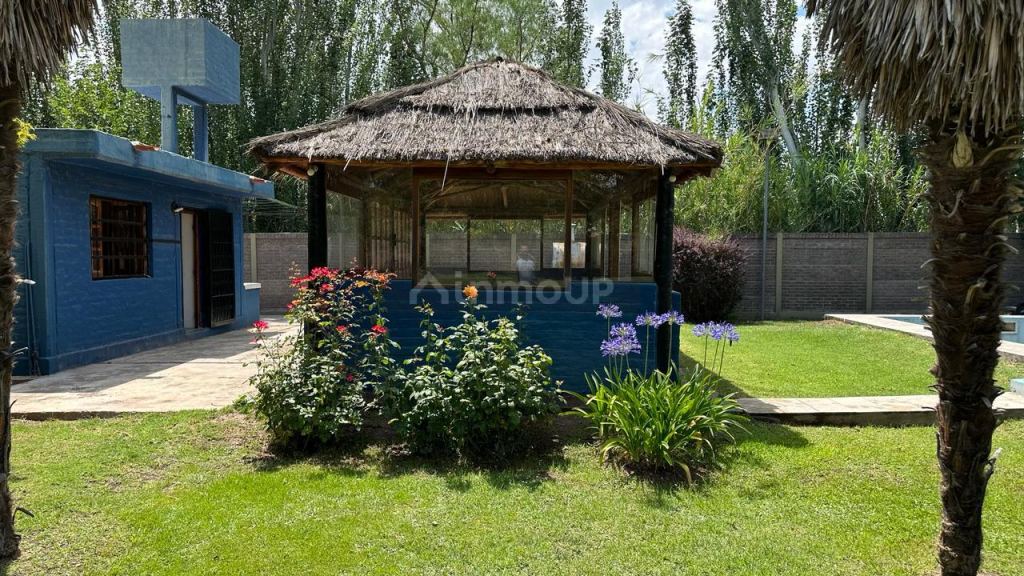 Quinta en Venta en Lujan de Cuyo, Mendoza