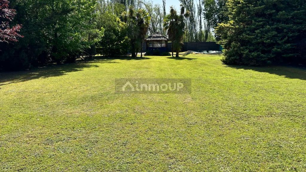 Quinta en Venta en Lujan de Cuyo, Mendoza