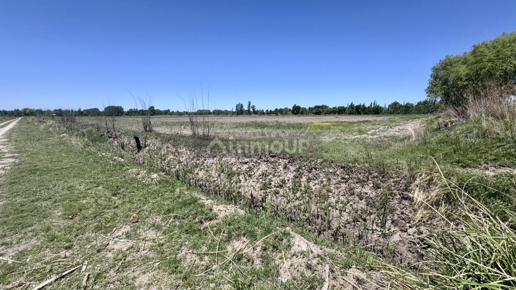 Finca en Venta en Tunuyan, Mendoza