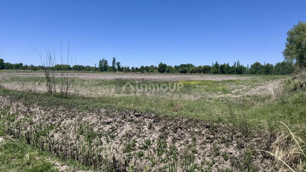 Finca en Venta en Tunuyan, Mendoza