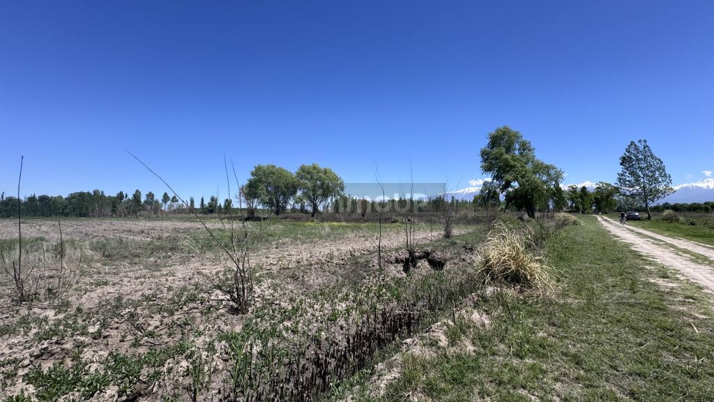 Finca en Venta en Tunuyan, Mendoza