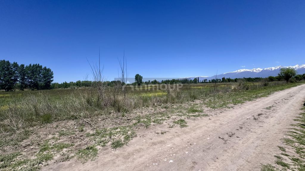 Finca en Venta en Tunuyan, Mendoza