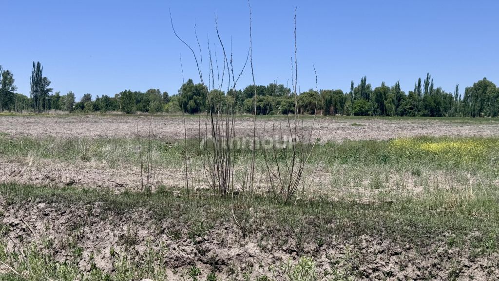 Finca en Venta en Tunuyan, Mendoza