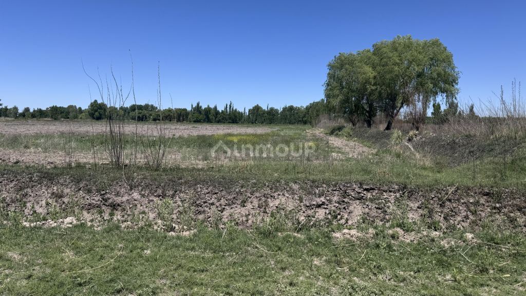 Finca en Venta en Tunuyan, Mendoza