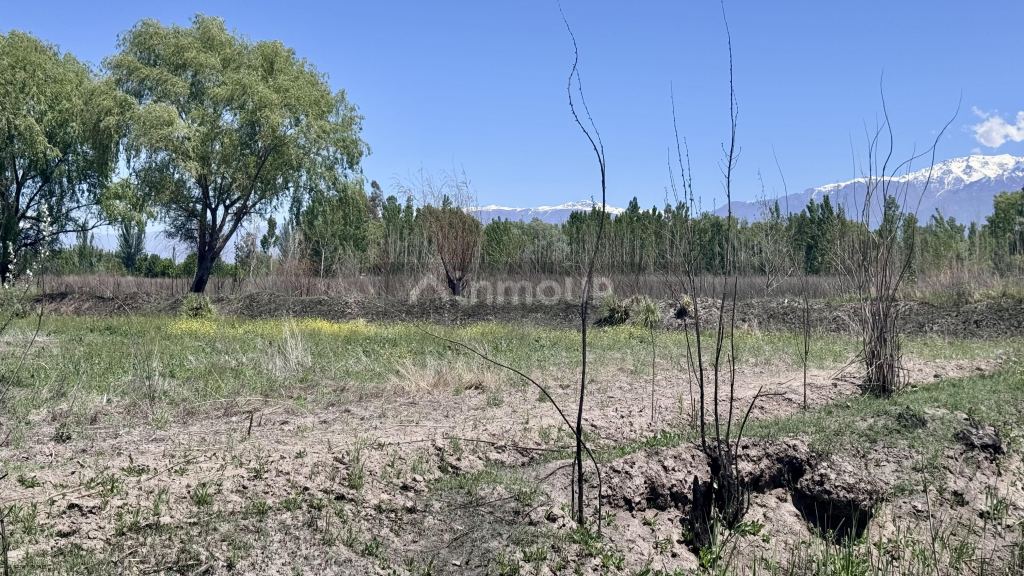 Finca en Venta en Tunuyan, Mendoza