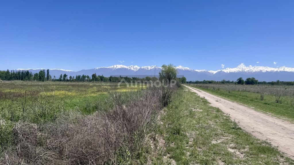 Finca en Venta en Tunuyan, Mendoza