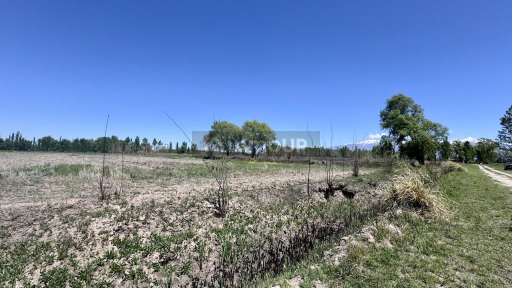 Finca en Venta en Tunuyan, Mendoza