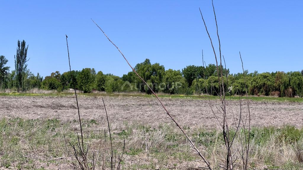 Finca en Venta en Tunuyan, Mendoza