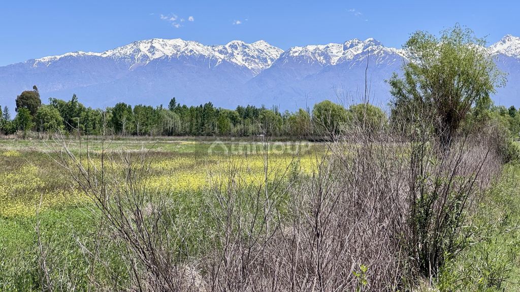 Finca en Venta en Tunuyan, Mendoza