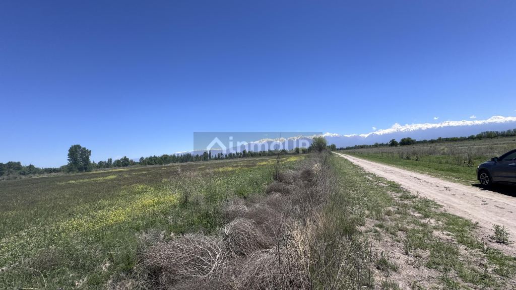 Finca en Venta en Tunuyan, Mendoza