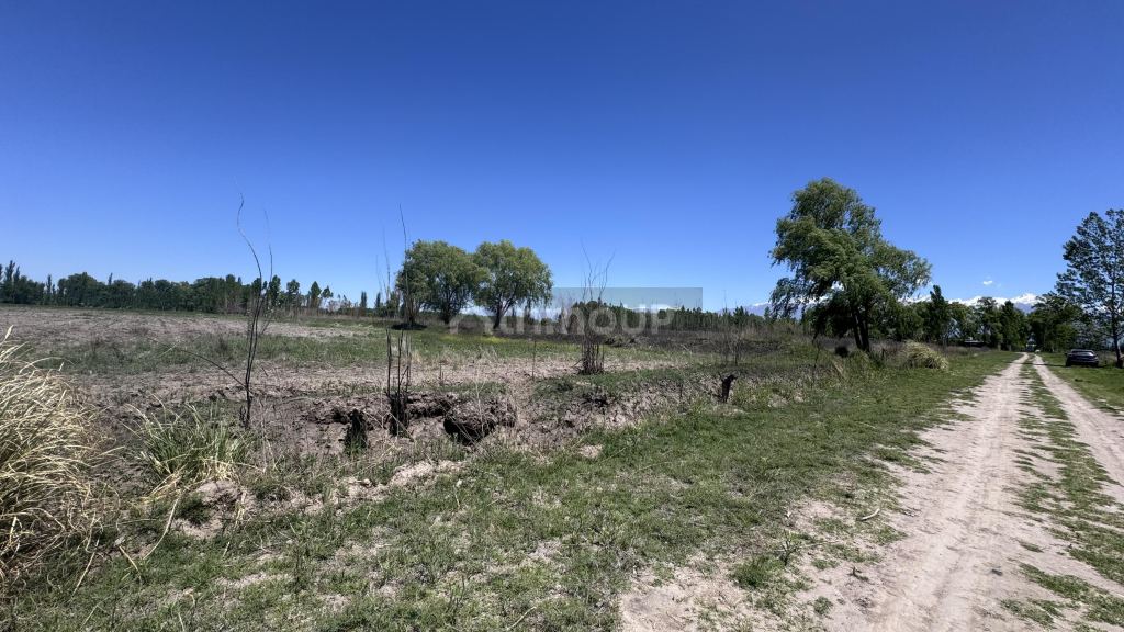 Finca en Venta en Tunuyan, Mendoza