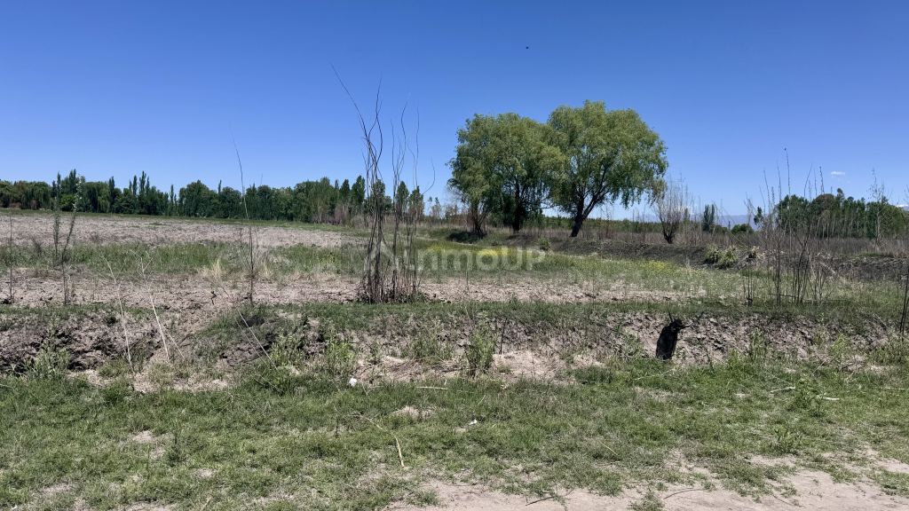 Finca en Venta en Tunuyan, Mendoza