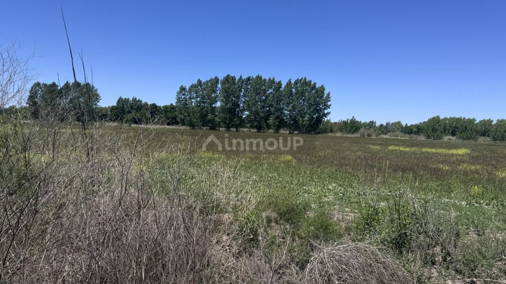 Finca en Venta en Tunuyan, Mendoza
