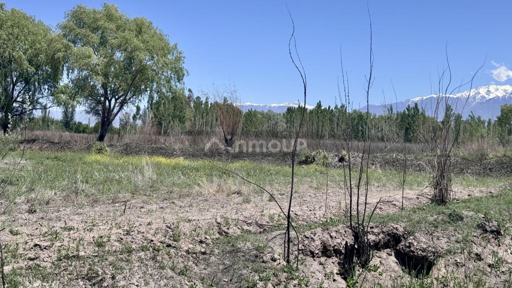 Finca en Venta en Tunuyan, Mendoza