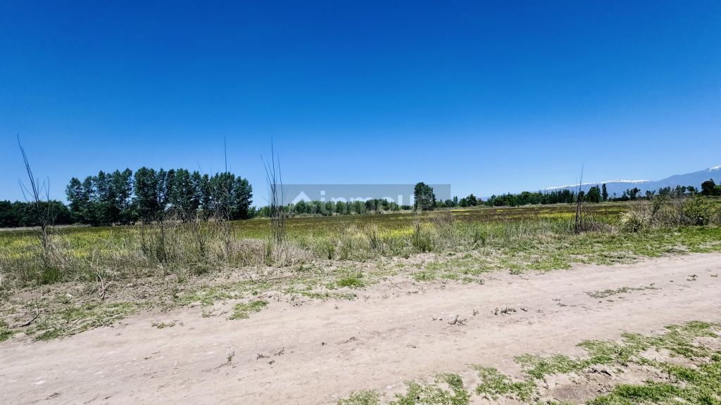 Finca en Venta en Tunuyan, Mendoza