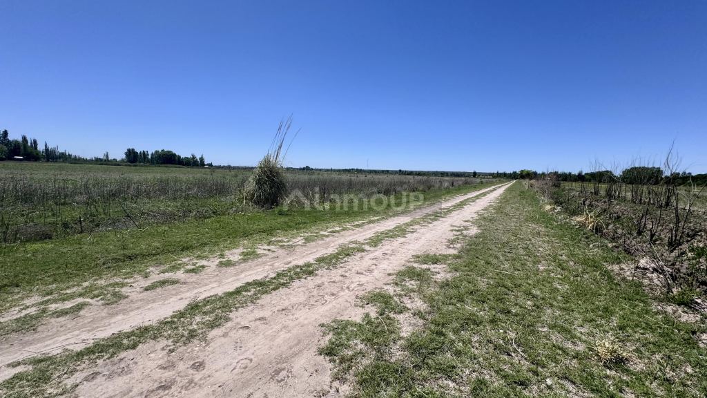 Finca en Venta en Tunuyan, Mendoza