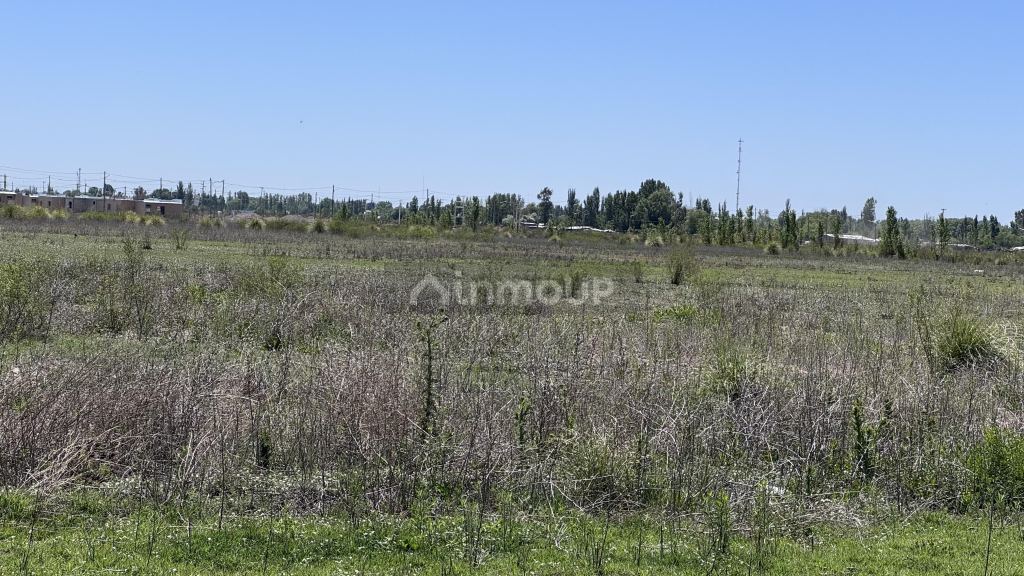 Finca en Venta en Tunuyan, Mendoza