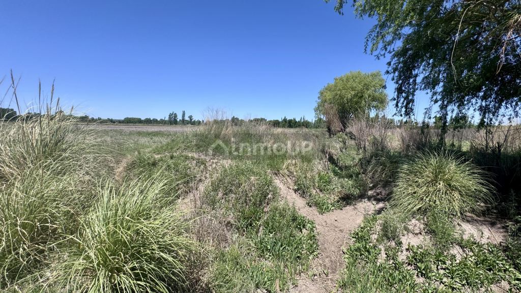 Finca en Venta en Tunuyan, Mendoza