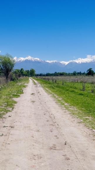Finca en Venta en Tunuyan, Mendoza