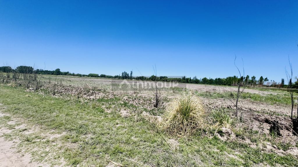 Finca en Venta en Tunuyan, Mendoza