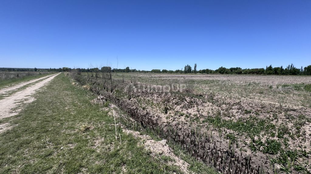 Finca en Venta en Tunuyan, Mendoza