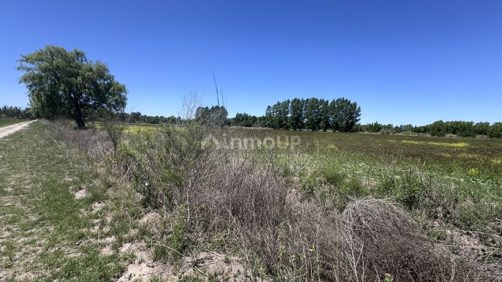 Finca en Venta en Tunuyan, Mendoza