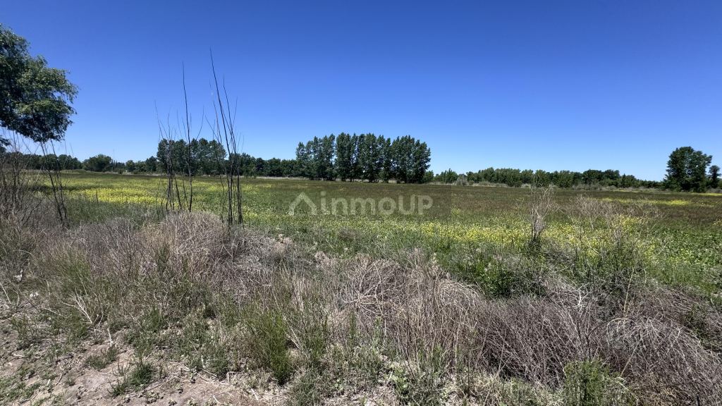 Finca en Venta en Tunuyan, Mendoza