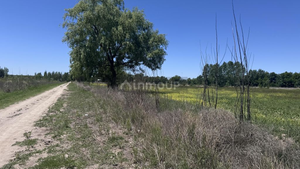 Finca en Venta en Tunuyan, Mendoza