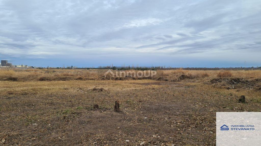 Terreno en Venta en Maipu, Mendoza