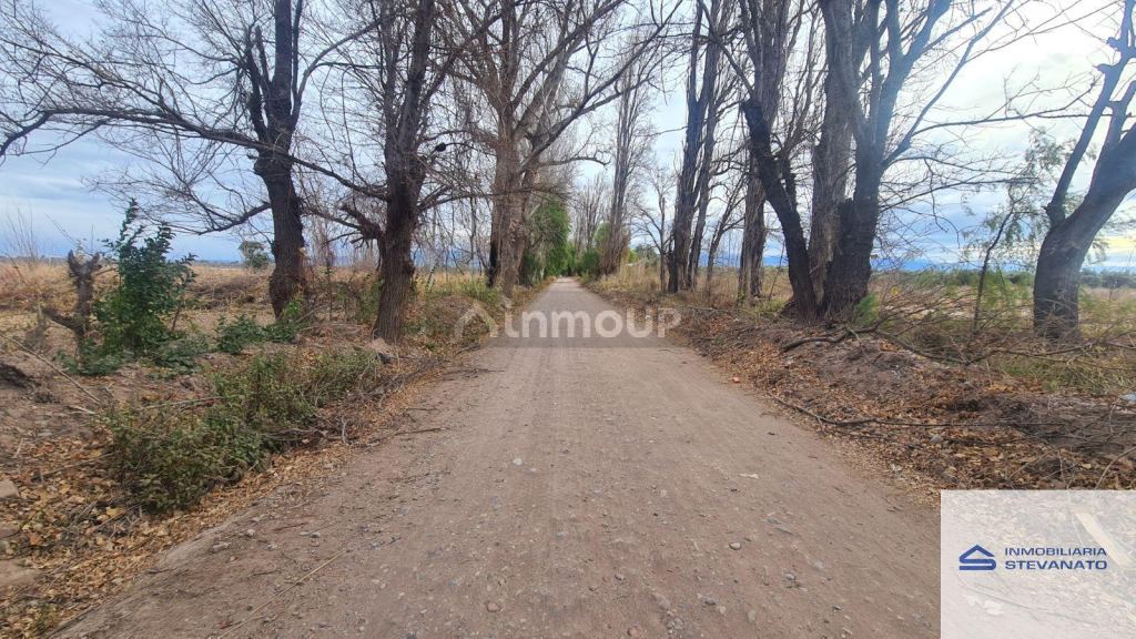 Terreno en Venta en Maipu, Mendoza