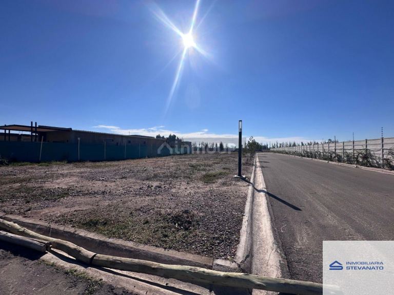 Terreno en Venta en Maipu, Mendoza