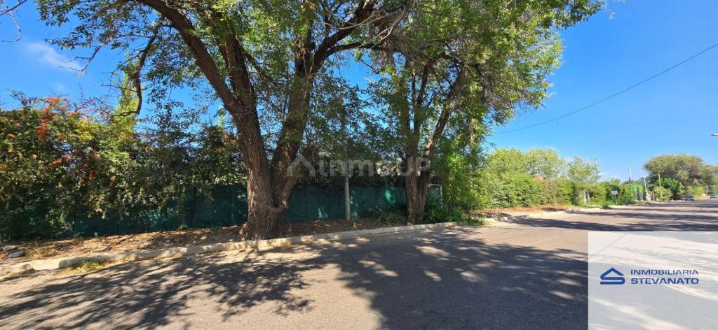 Finca en Venta en Maipu, Mendoza