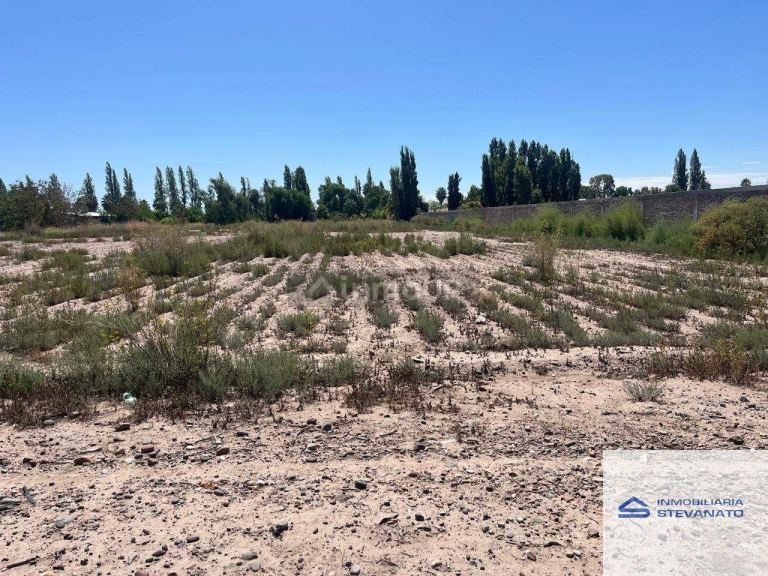 Terreno en Venta en Maipu, Mendoza