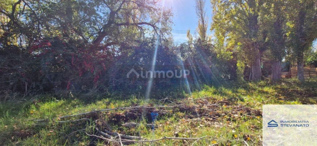 Terreno en Venta en Maipu, Mendoza