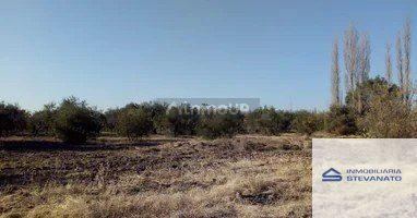 Terreno en Venta en Maipu, Mendoza