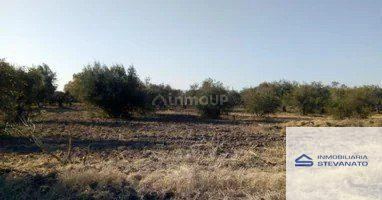 Terreno en Venta en Maipu, Mendoza