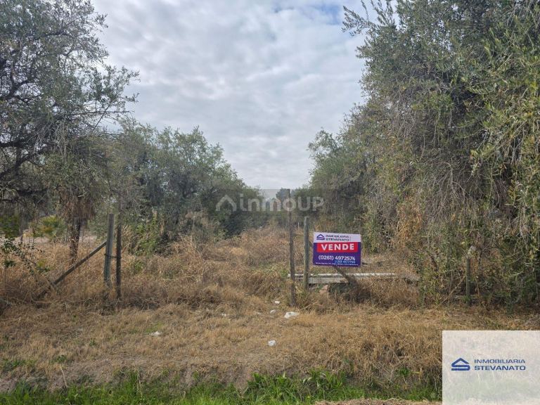 Terreno en Venta en Maipu, Mendoza