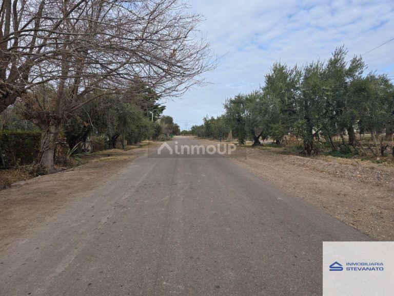 Terreno en Venta en Maipu, Mendoza