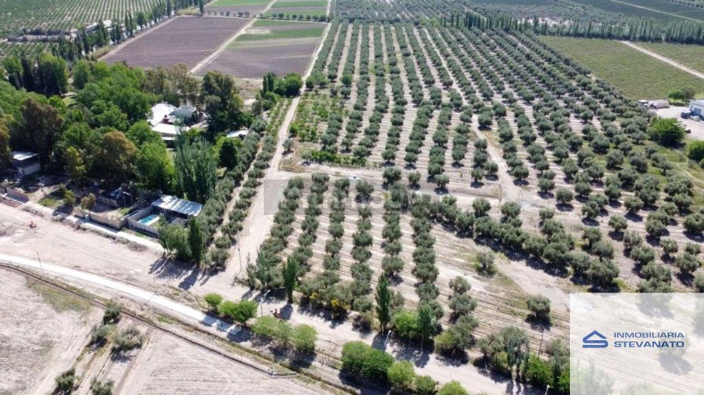 Terreno en Venta en Maipu, Mendoza