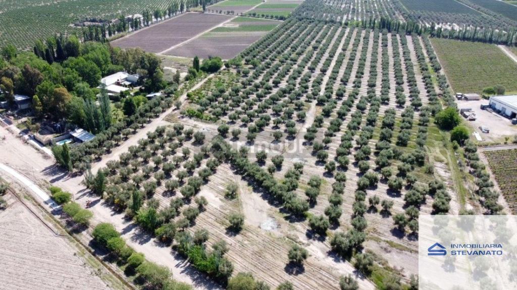 Terreno en Venta en Maipu, Mendoza