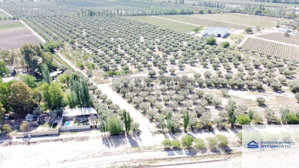 Terreno en Venta en Maipu, Mendoza