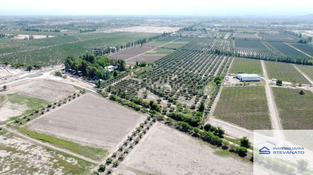 Terreno en Venta en Maipu, Mendoza