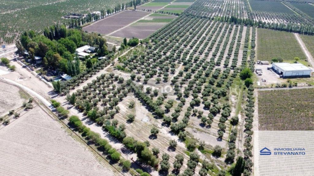 Terreno en Venta en Maipu, Mendoza