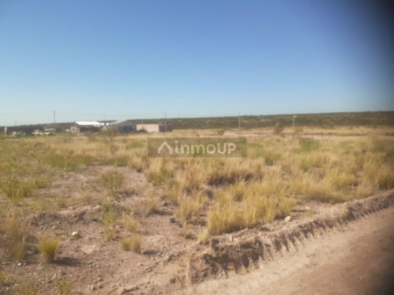 Terreno en Venta en Lujan de Cuyo, Mendoza