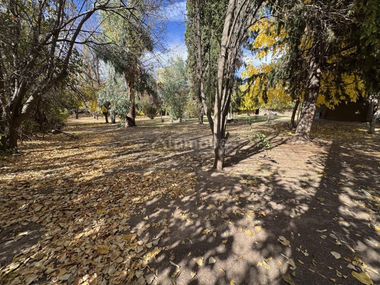 Hotel en Venta en Lujan de Cuyo, Mendoza - USD 355.000 | Inmoup - 16